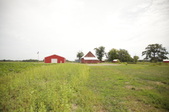 Enlarge photo 50