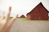Enlarge photo 65