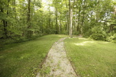 Enlarge photo 74