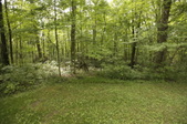 Enlarge photo 76