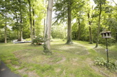 Enlarge photo 77