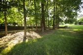 Enlarge photo 57