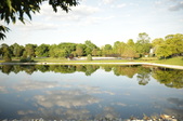 Enlarge photo 73