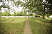 Enlarge photo 52
