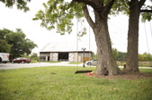 Enlarge photo 57