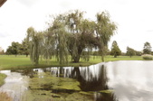 Enlarge photo 29