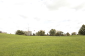 Enlarge photo 35