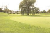 Enlarge photo 39