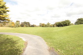 Enlarge photo 42