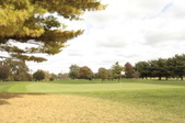 Enlarge photo 43