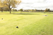 Enlarge photo 46