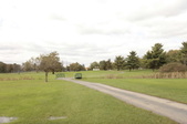 Enlarge photo 50