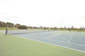 Enlarge photo 63