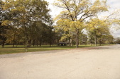 Enlarge photo 69