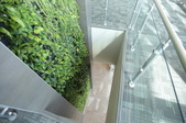 Enlarge photo 82