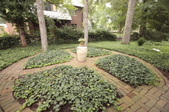 Enlarge photo 114