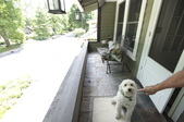Enlarge photo 52