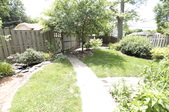 Enlarge photo 66