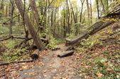 Enlarge photo 25