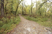 Enlarge photo 33