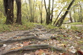 Enlarge photo 35