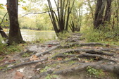 Enlarge photo 36