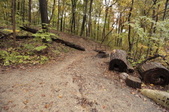 Enlarge photo 38