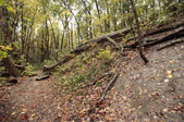 Enlarge photo 39