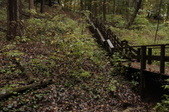 Enlarge photo 40