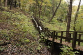 Enlarge photo 41