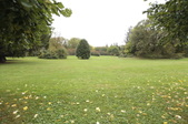 Enlarge photo 42