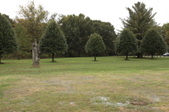 Enlarge photo 43