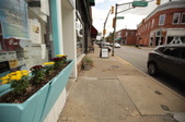 Enlarge photo 34