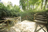 Enlarge photo 76