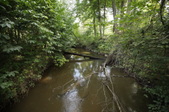 Enlarge photo 77