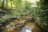 Enlarge photo 78