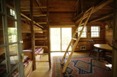 Enlarge photo 86