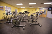 Spin Class