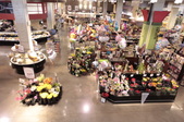 Enlarge photo 57
