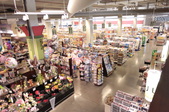 Enlarge photo 58