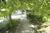 Enlarge photo 79