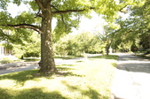 Enlarge photo 86