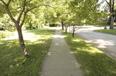 Enlarge photo 88