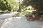 Enlarge photo 90