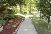Enlarge photo 91