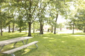 Enlarge photo 34