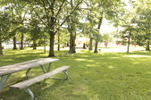 Enlarge photo 35