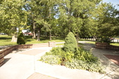 Enlarge photo 39