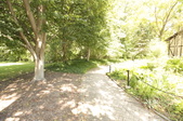 Enlarge photo 35
