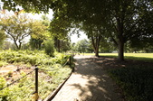 Enlarge photo 36